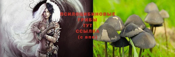 сатива Инта