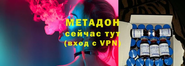 сатива Инта