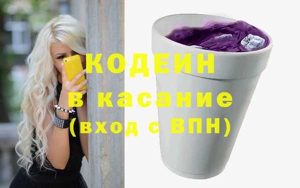 сатива Инта