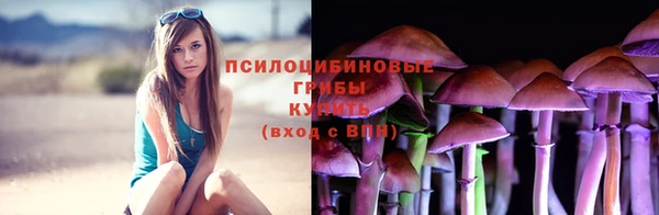 меф Инсар