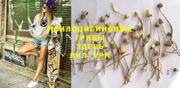 ALPHA PVP Иннополис
