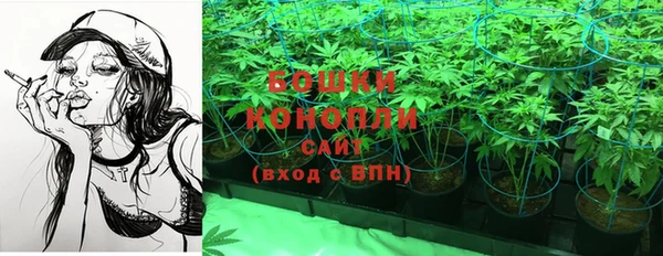 трава Зеленокумск