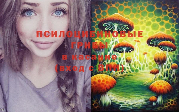 сатива Инта