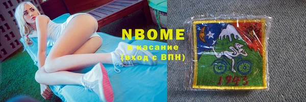 сатива Инта