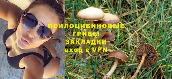 меф Инсар
