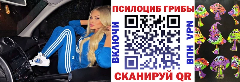 Псилоцибиновые грибы Psilocybe Новочебоксарск