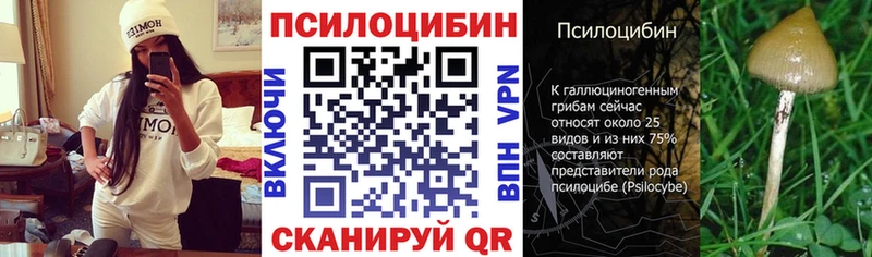 Псилоцибиновые грибы Cubensis  Новочебоксарск 